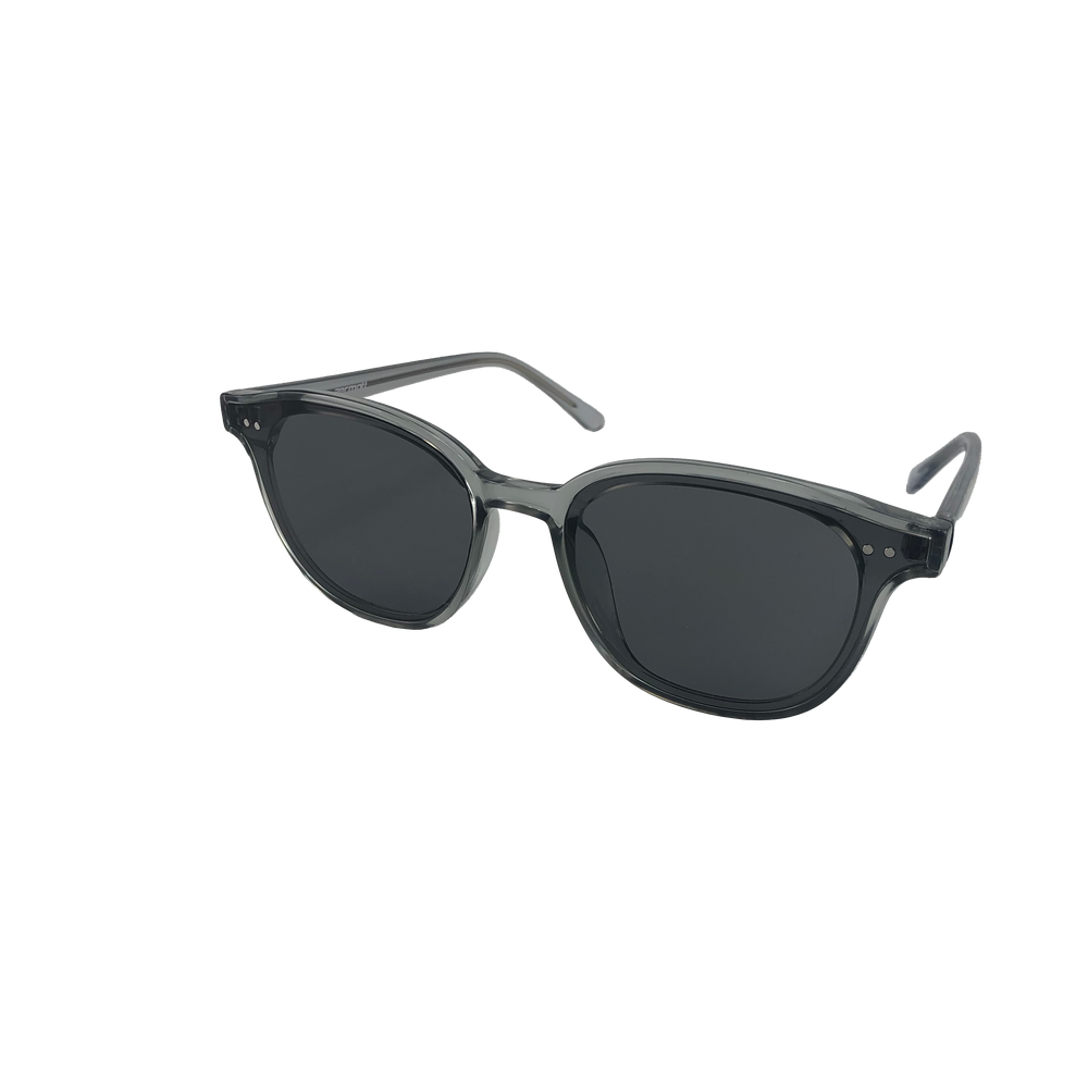 82701 Casual Sunglasses