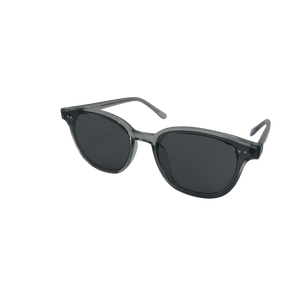 82701 Casual Sunglasses